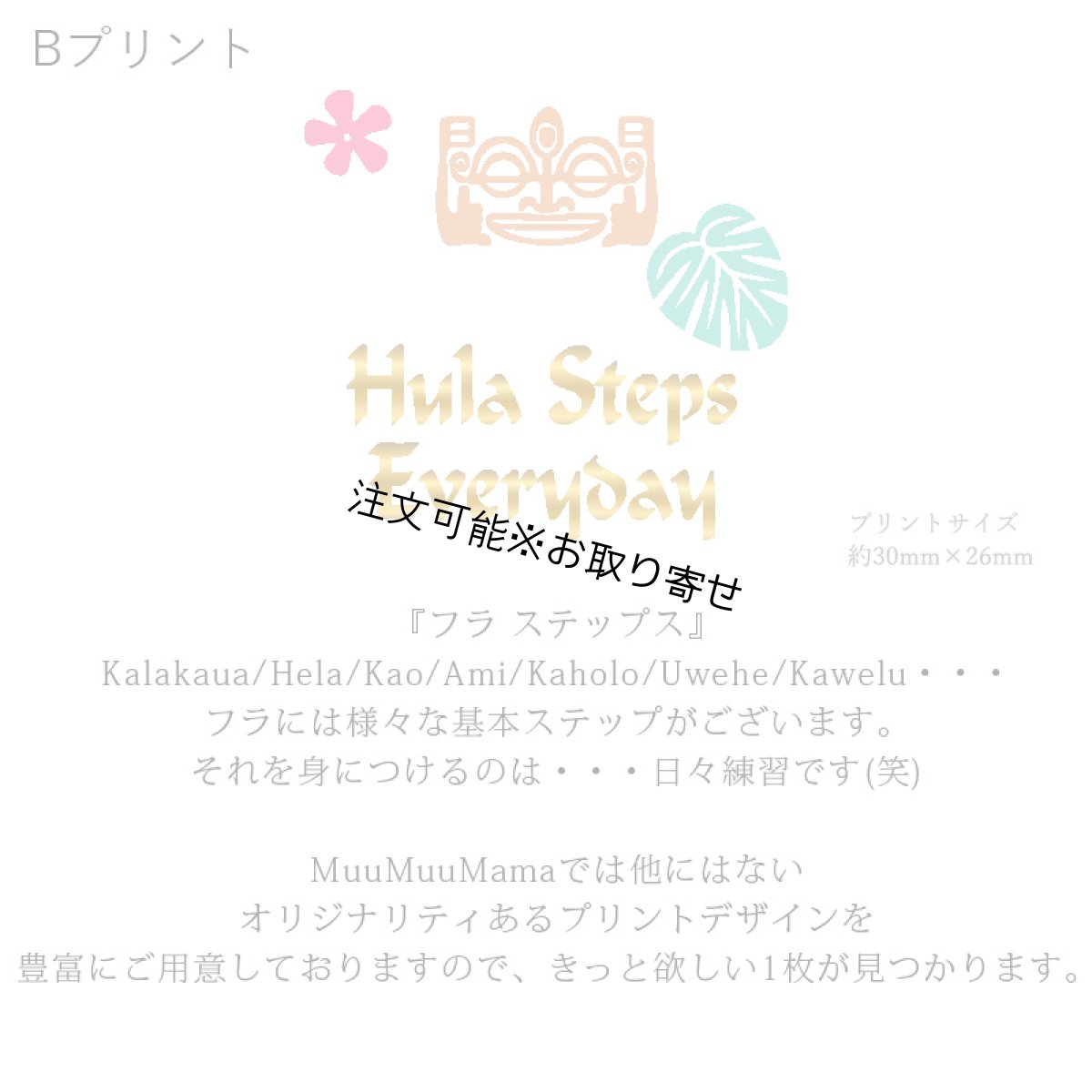 画像7: 受注生産品 好きなプリントを好きなTシャツに！ プリントカスタム プリントデザイン フラステップス 刺しゅう風 柄 (7)