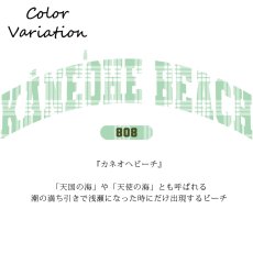 画像13: 受注生産品 好きなプリントを好きなTシャツに！ プリントカスタム プリントデザイン ビーチシリーズ (13)