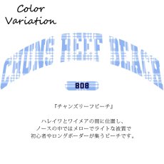 画像14: 受注生産品 好きなプリントを好きなTシャツに！ プリントカスタム プリントデザイン ビーチシリーズ (14)
