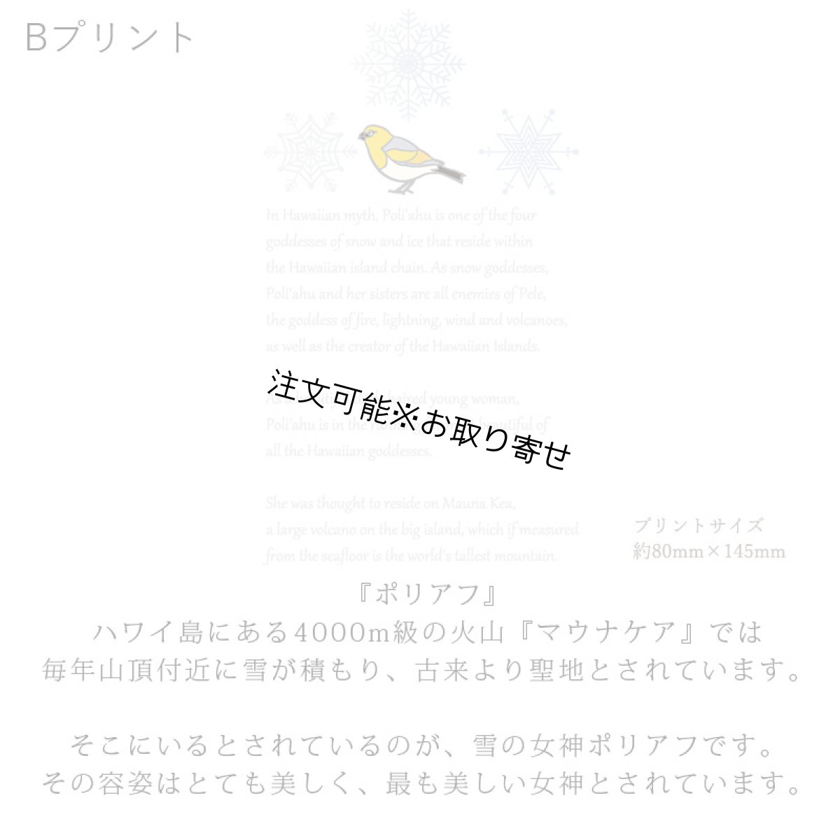 画像7: 受注生産品 好きなプリントを好きなTシャツに！ プリントカスタム プリントデザイン ポリアフ柄 (7)