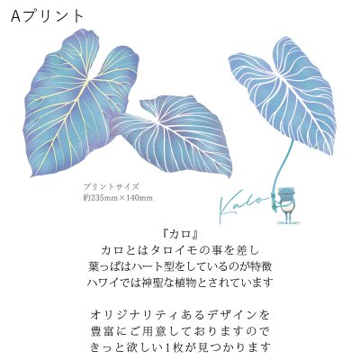 画像2: 受注生産品 好きなプリントを好きなTシャツに！ プリントカスタム プリントデザイン カロ柄