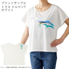 画像10: 受注生産品 好きなプリントを好きなTシャツに！ プリントカスタム プリントデザイン イヴァ柄 (10)