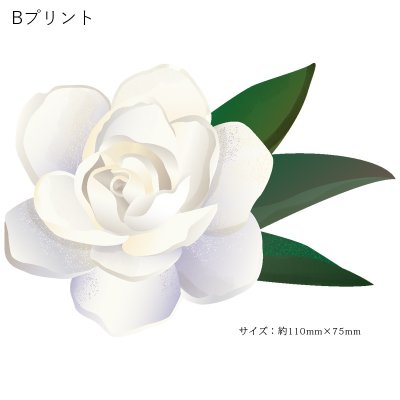 画像3: 受注生産品 好きなプリントを好きなTシャツに！ プリントカスタム プリントデザイン ウィスパーオブガーデニア柄