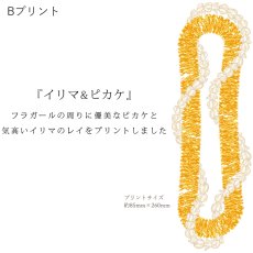 画像7: 受注生産品 好きなプリントを好きなTシャツに！ プリントカスタム プリントデザイン イリマ&ピカケ柄 (7)