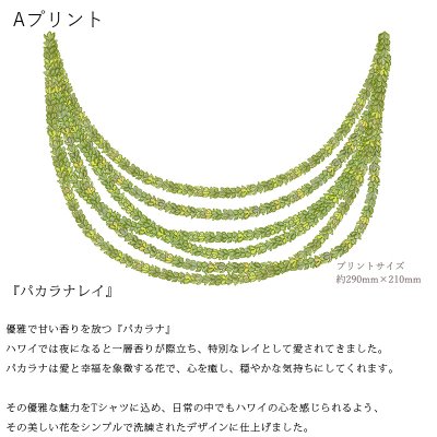 画像2: 受注生産品 好きなプリントを好きなTシャツに！ プリントカスタム プリントデザイン パカラナレイ柄