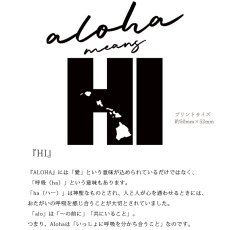 画像9: 受注生産品 好きなプリントを好きなTシャツに! プリントカスタム プリントデザイン HI (9)