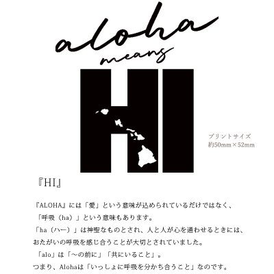 画像2: 受注生産品 好きなプリントを好きなTシャツに! プリントカスタム プリントデザイン HI