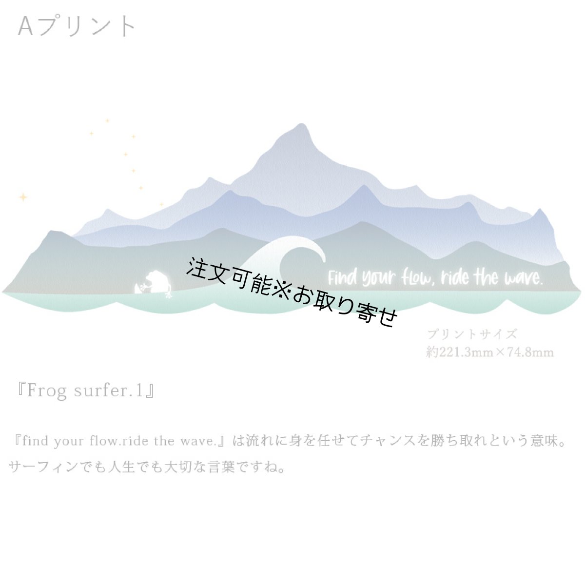 画像6: 受注生産品 好きなプリントを好きなTシャツに！ プリントカスタム プリントデザイン Frog Surfer1 (6)