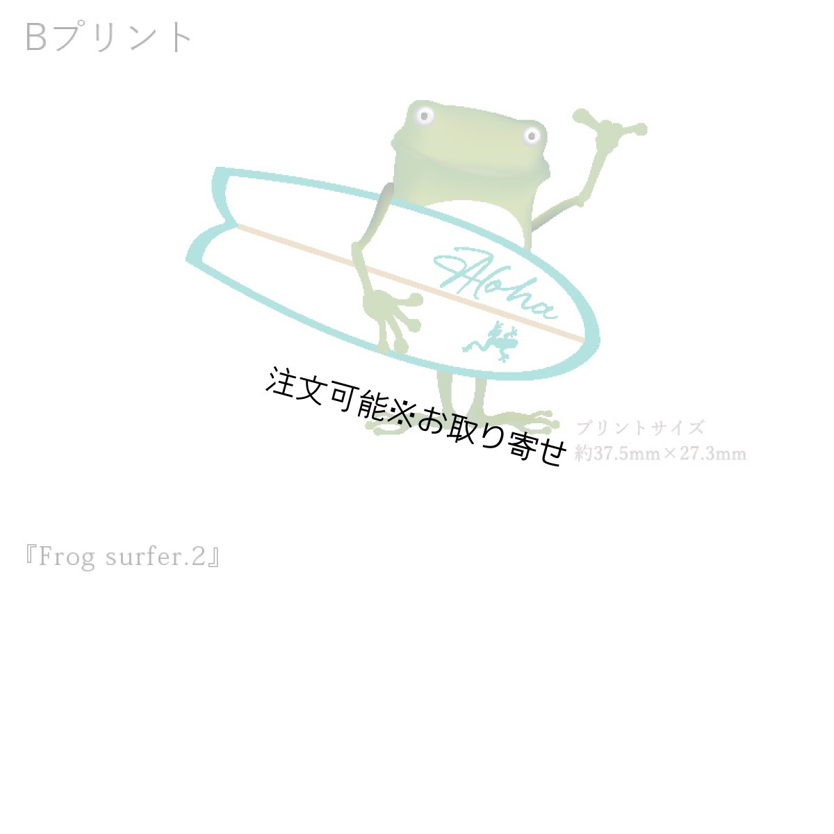 画像7: 受注生産品 好きなプリントを好きなTシャツに！ プリントカスタム プリントデザイン Frog Surfer2 (7)