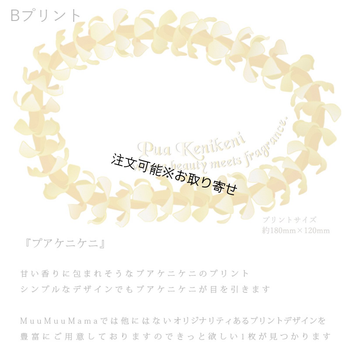 画像7: 受注生産品 好きなプリントを好きなTシャツに！ プリントカスタム プリントデザイン プアケニケニ柄 (7)