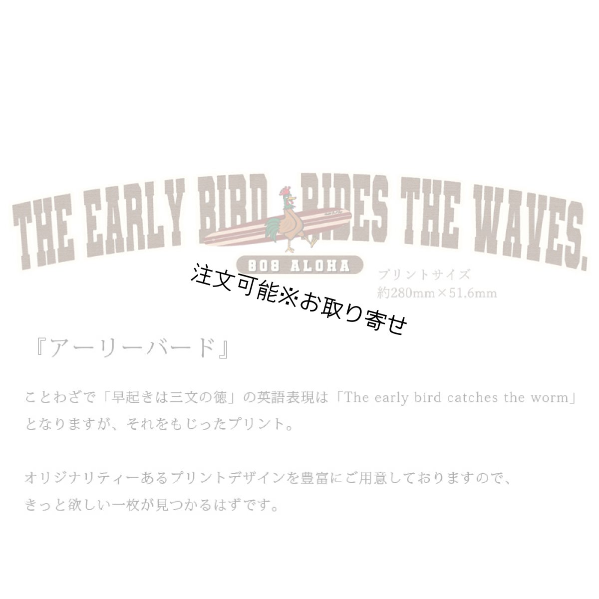 画像6: 受注生産品 好きなプリントを好きなTシャツに！ プリントカスタム プリントデザイン アーリーバード柄 (6)