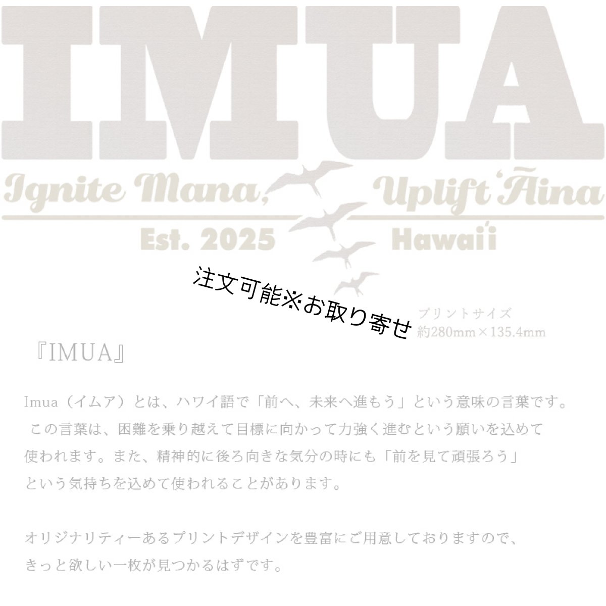 画像6: 受注生産品 好きなプリントを好きなTシャツに！ プリントカスタム プリントデザイン IMUA柄 (6)