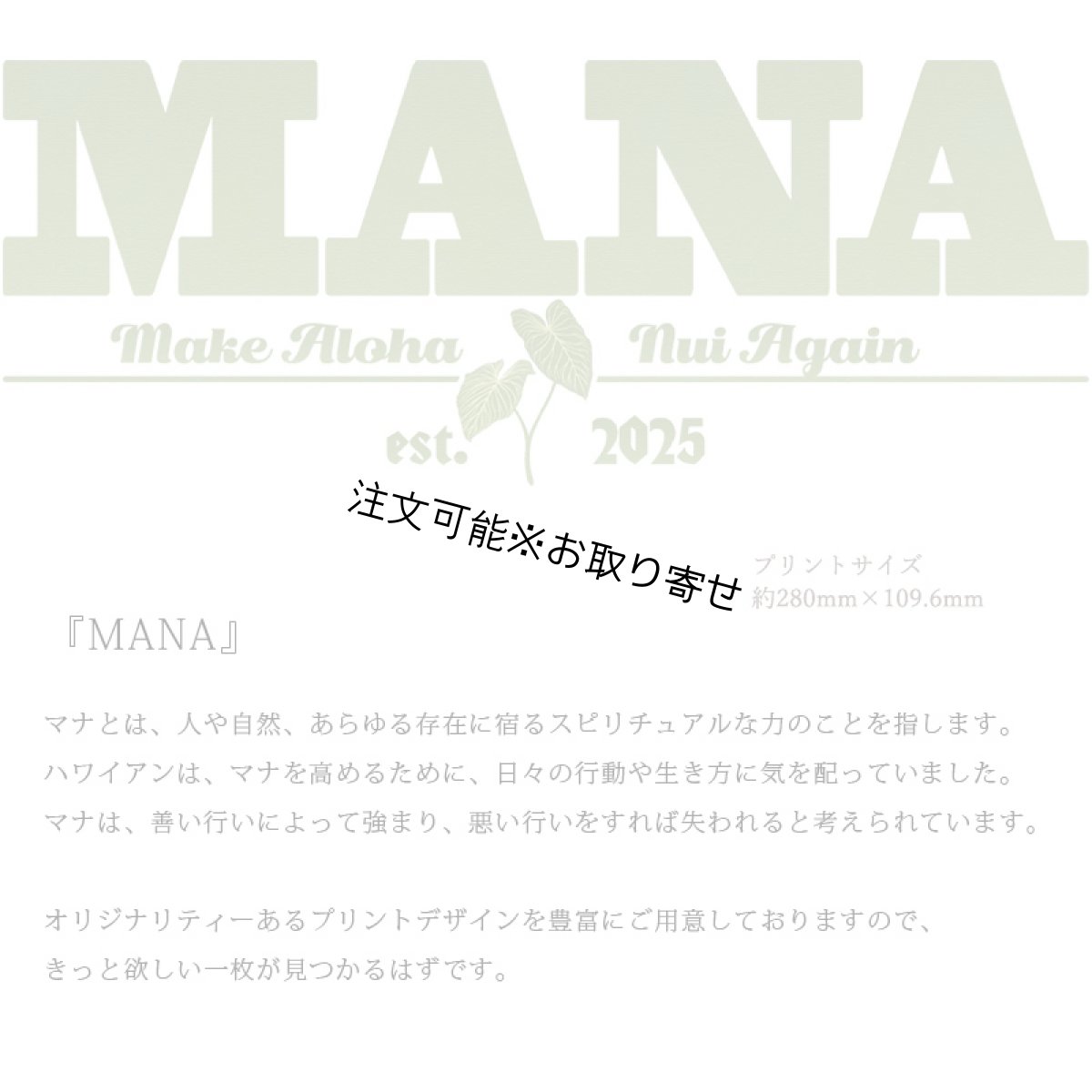 画像6: 受注生産品 好きなプリントを好きなTシャツに！ プリントカスタム プリントデザイン MANA柄 (6)