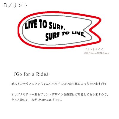 画像3: 受注生産品 好きなプリントを好きなTシャツに！ プリントカスタム プリントデザイン Go for a ride柄