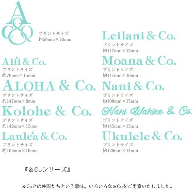 画像2: 受注生産品 好きなプリントを好きなTシャツに！ プリントカスタム プリントデザイン ＆Coシリーズ