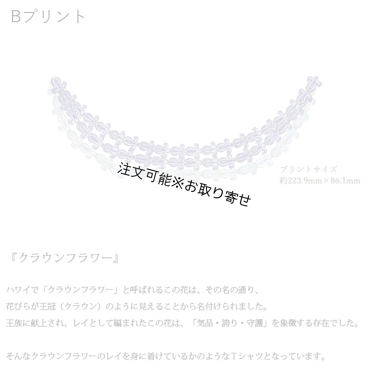 画像7: 受注生産品 好きなプリントを好きなTシャツに！ プリントカスタム プリントデザイン クラウンフラワーレイ (7)
