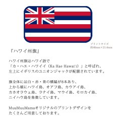 画像6: 受注生産品 好きなプリントを好きなTシャツに！ プリントカスタム プリントデザイン ハワイ州旗 (6)