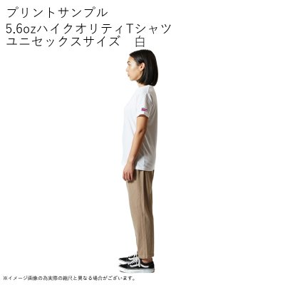 画像3: 受注生産品 好きなプリントを好きなTシャツに! プリントカスタム プリントデザイン ハワイ州旗