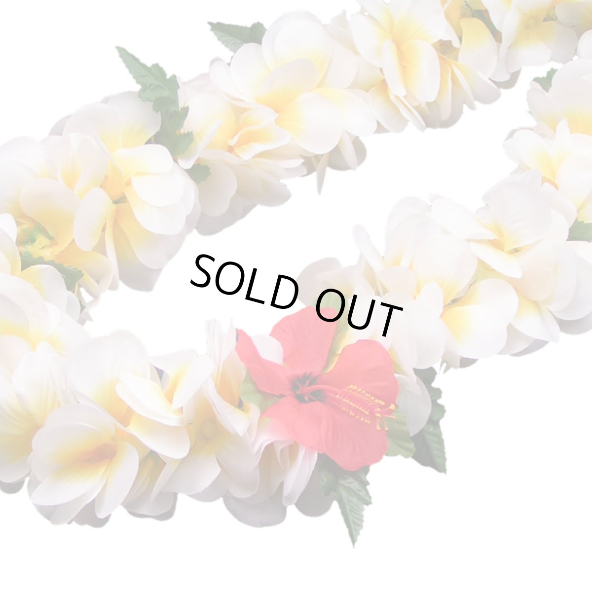 画像2: プルメリア レイ (2)