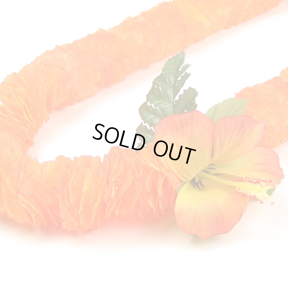 画像2: イリマ・レイ (2)