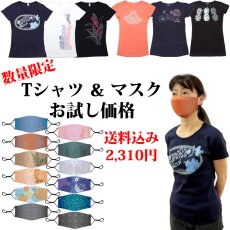 画像1: ≪数量限定≫Tシャツ＆マスクお試し価格 (1)