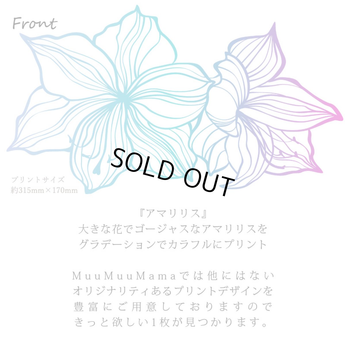 画像7: フラダンス レッスン ルースフィット ワイド Tシャツ アマリリス柄 (7)