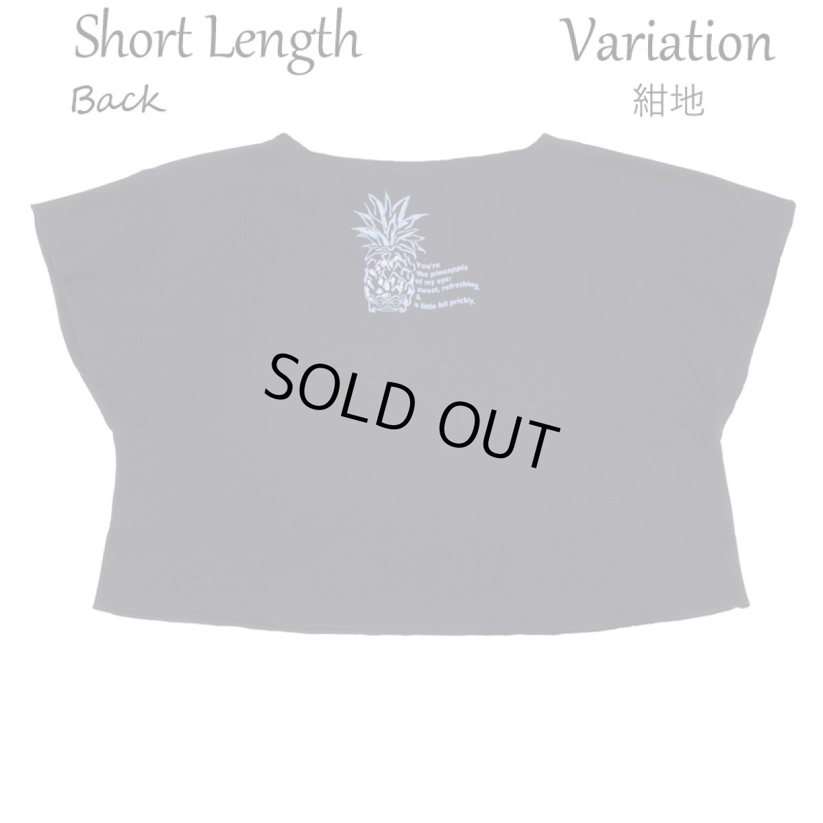 画像11: フラダンス レッスン ルースフィット ワイド Tシャツ バーティカルパステルパイナップル柄 (11)