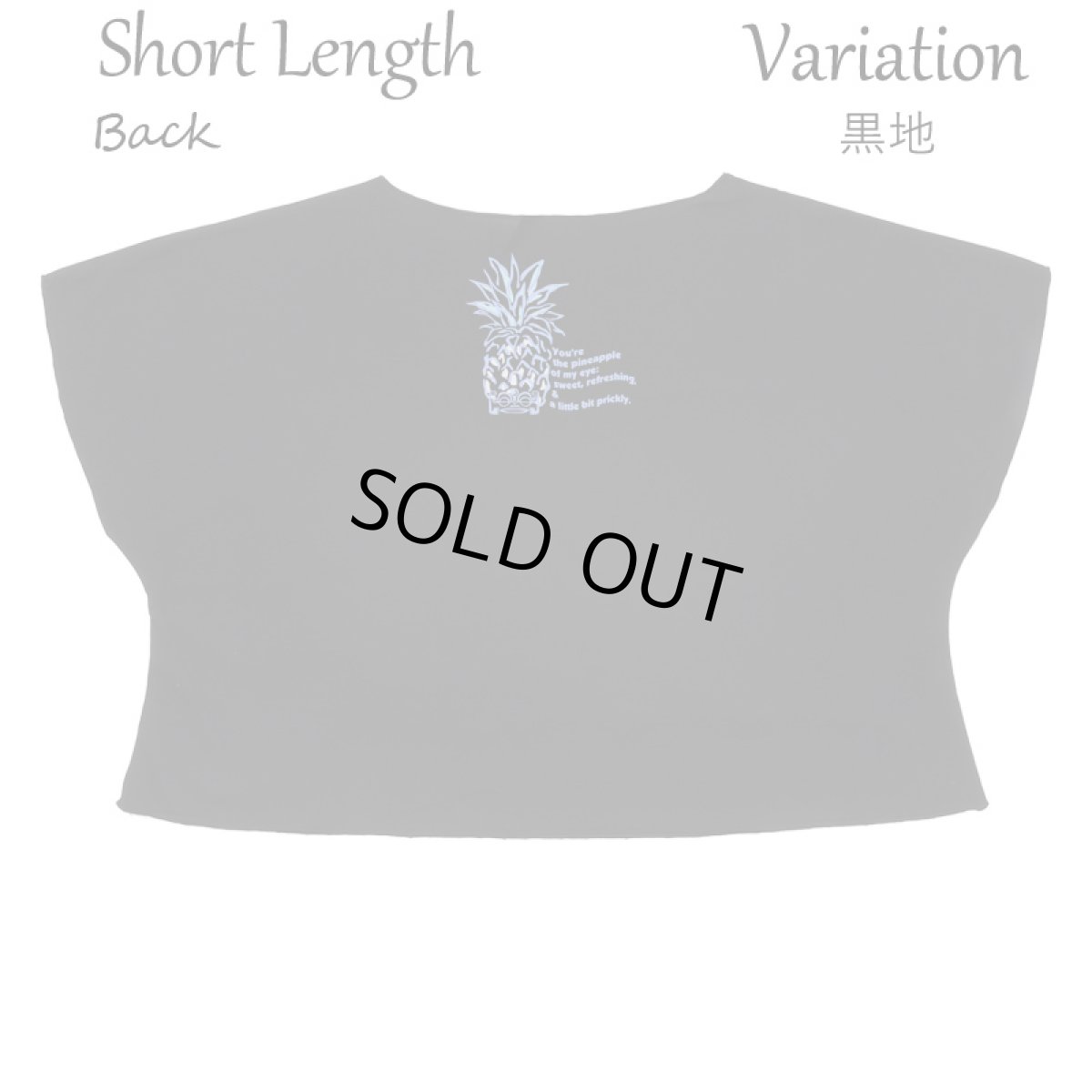 画像13: フラダンス レッスン ルースフィット ワイド Tシャツ バーティカルパステルパイナップル柄 (13)