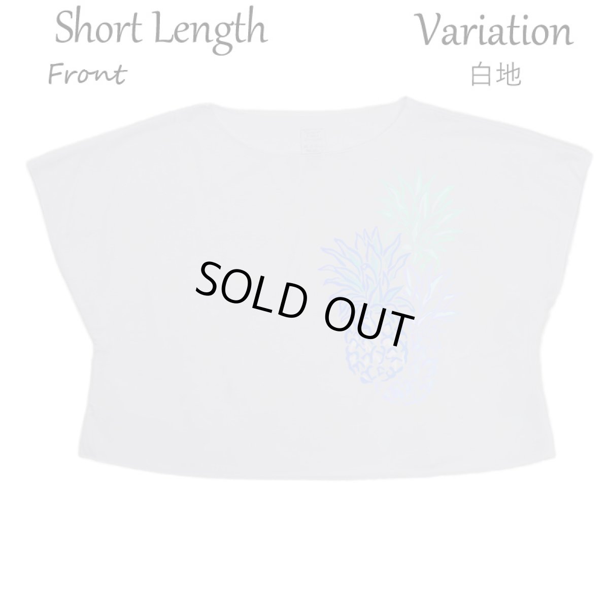 画像8: フラダンス レッスン ルースフィット ワイド Tシャツ バーティカルパステルパイナップル柄 (8)