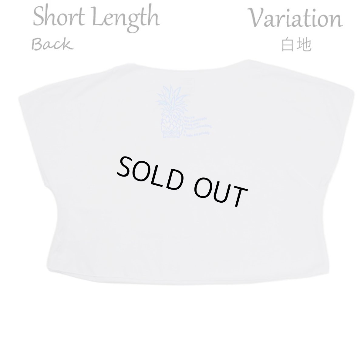 画像9: フラダンス レッスン ルースフィット ワイド Tシャツ バーティカルパステルパイナップル柄 (9)