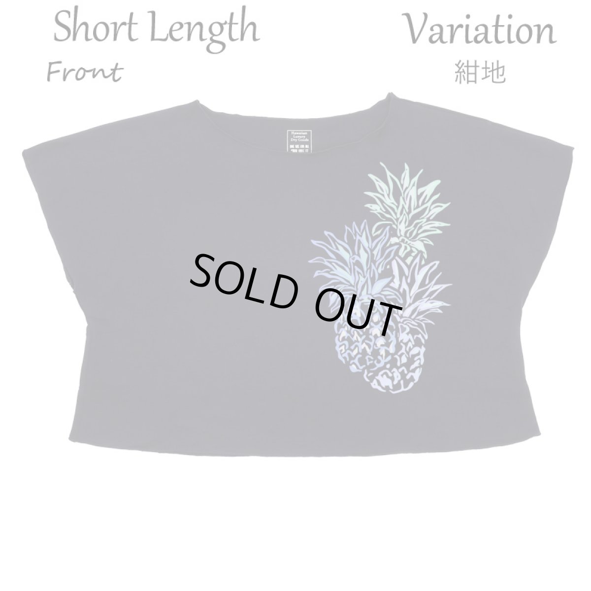 画像10: フラダンス レッスン ルースフィット ワイド Tシャツ バーティカルパステルパイナップル柄 (10)