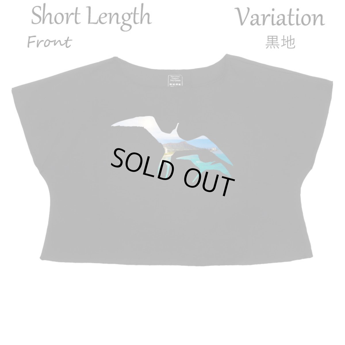 画像12: フラダンス レッスン ルースフィット ワイド Tシャツ イヴァ カイマナヒラ柄 (12)