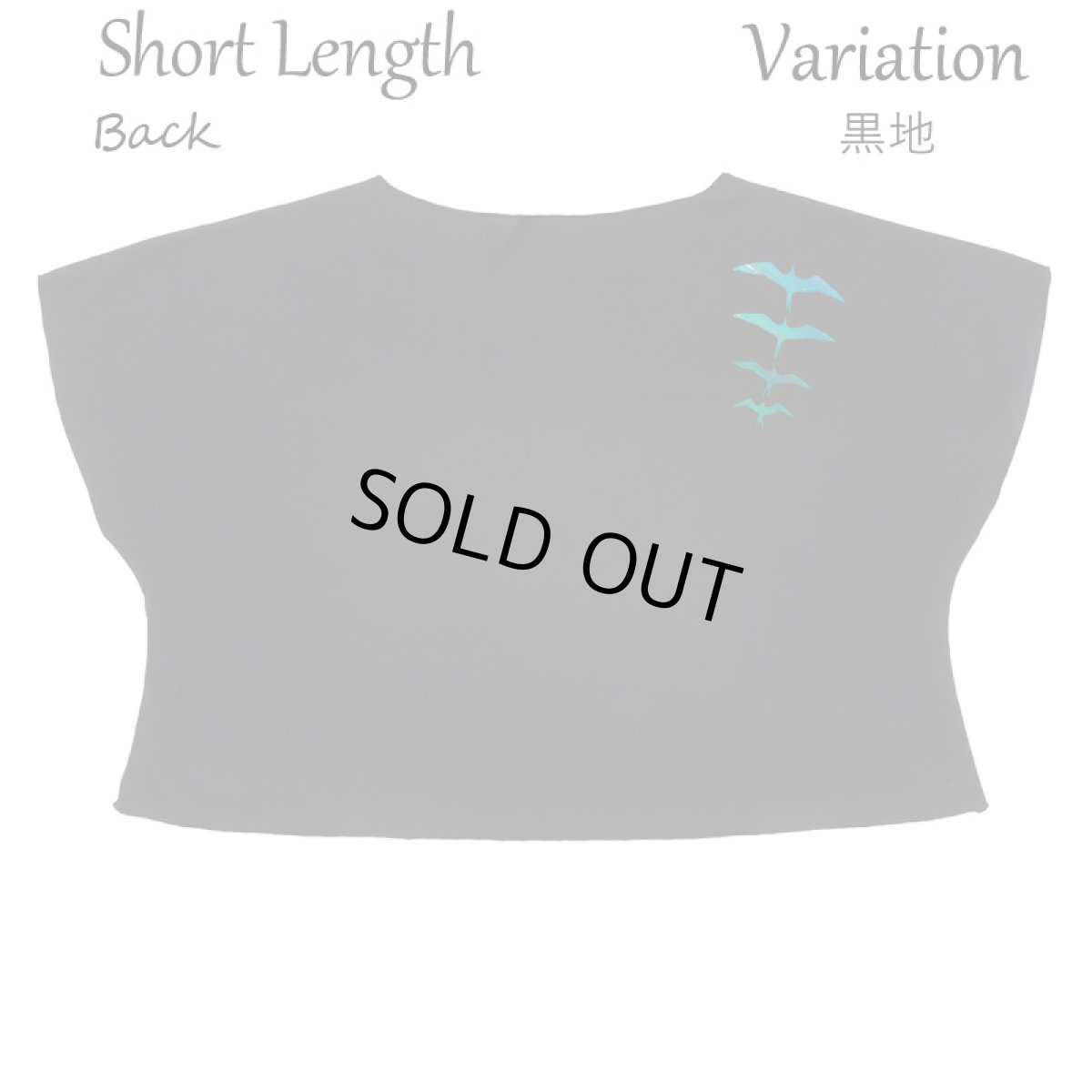 画像13: フラダンス レッスン ルースフィット ワイド Tシャツ イヴァ カイマナヒラ柄 (13)