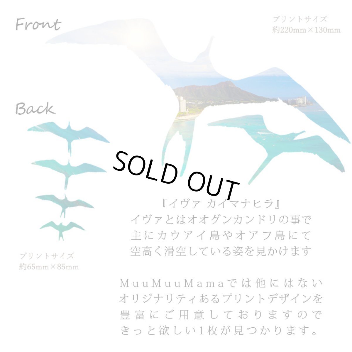 画像7: フラダンス レッスン ルースフィット ワイド Tシャツ イヴァ カイマナヒラ柄 (7)