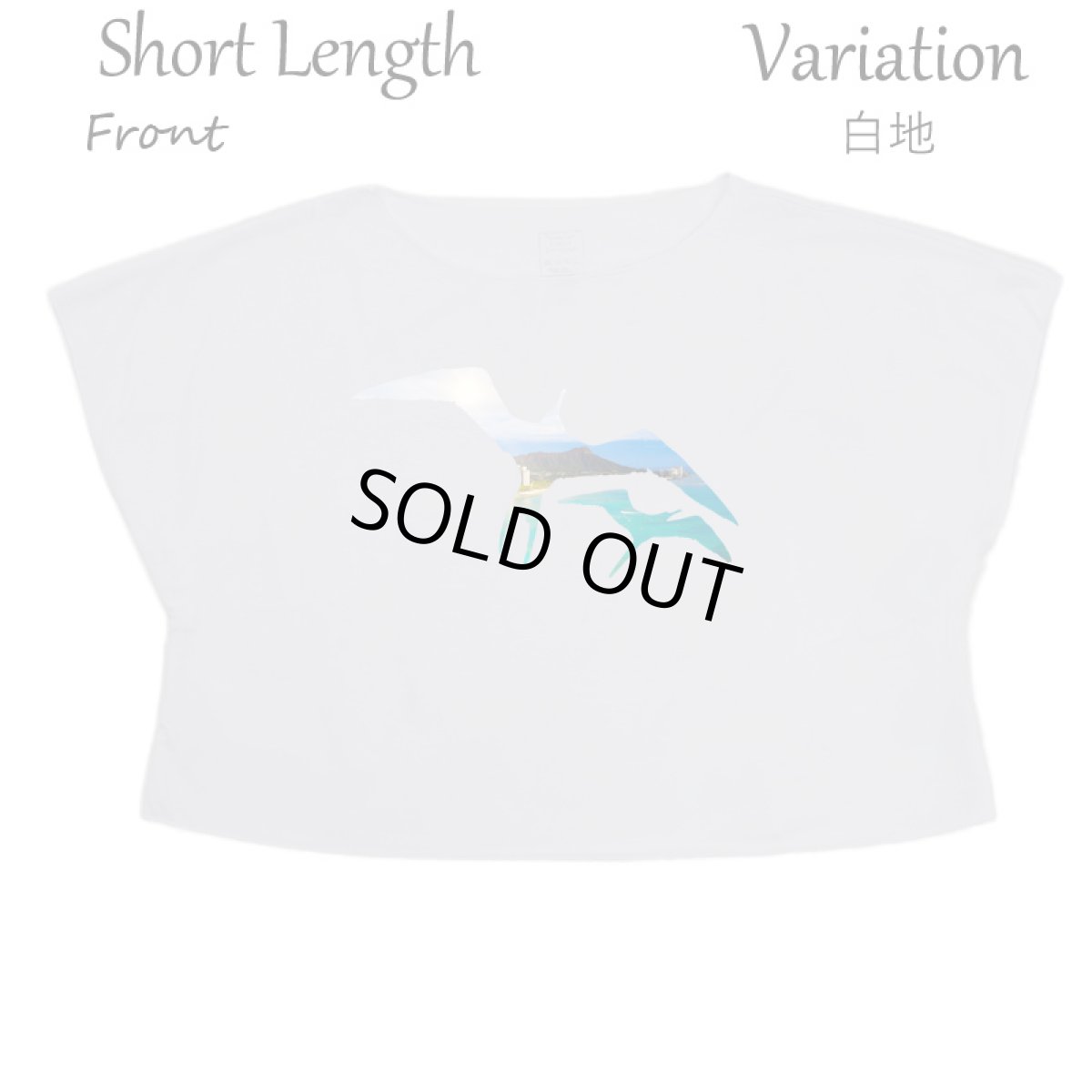 画像8: フラダンス レッスン ルースフィット ワイド Tシャツ イヴァ カイマナヒラ柄 (8)