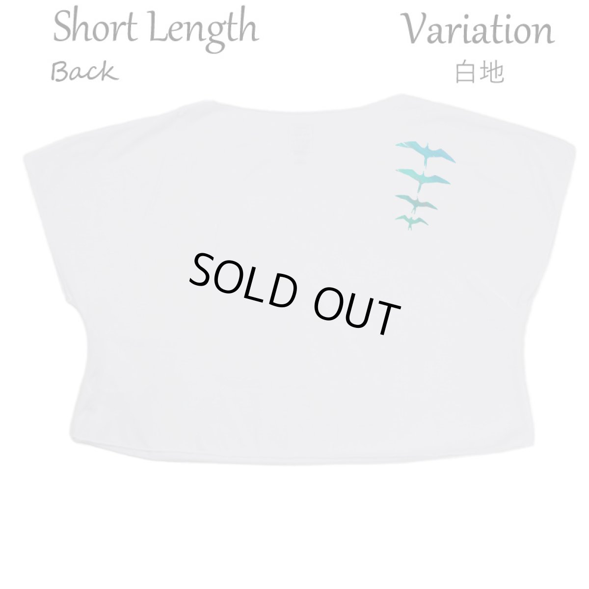 画像9: フラダンス レッスン ルースフィット ワイド Tシャツ イヴァ カイマナヒラ柄 (9)