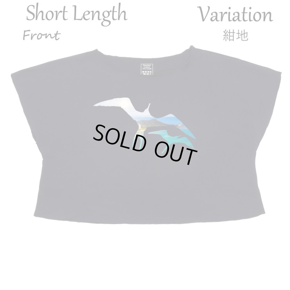 画像10: フラダンス レッスン ルースフィット ワイド Tシャツ イヴァ カイマナヒラ柄 (10)