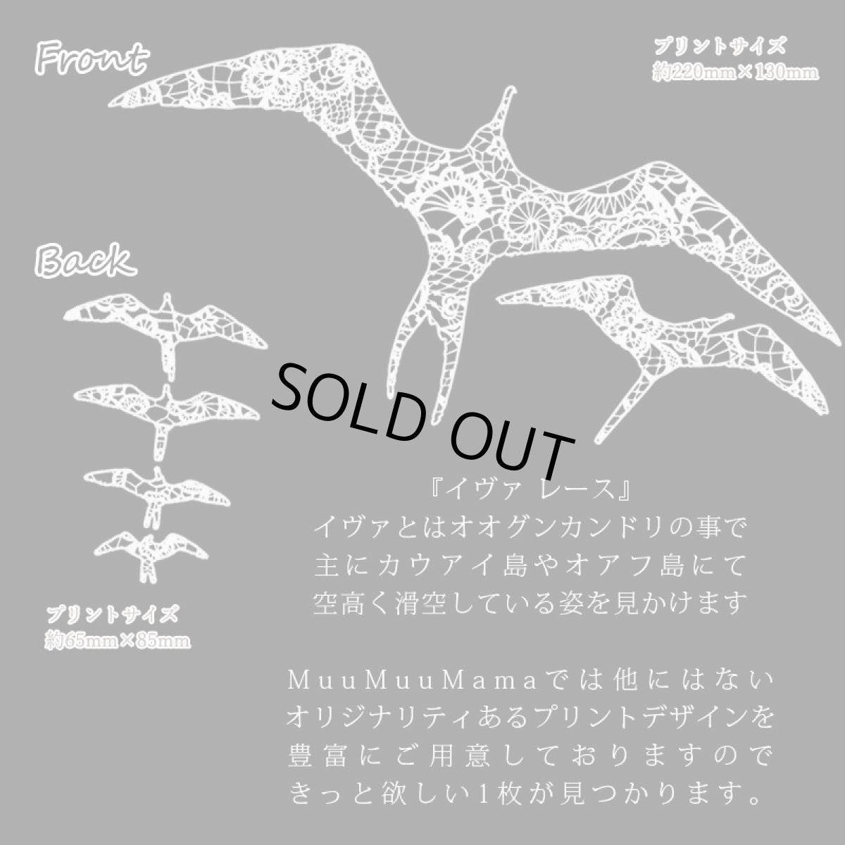 画像7: フラダンス レッスン ルースフィット ワイド Tシャツ イヴァ レース柄 (7)