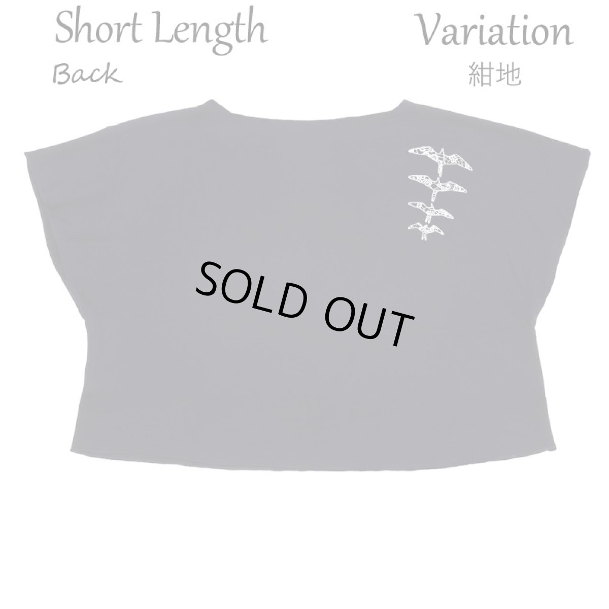 画像9: フラダンス レッスン ルースフィット ワイド Tシャツ イヴァ レース柄 (9)