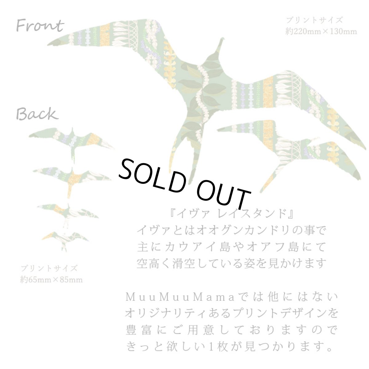 画像7: フラダンス レッスン ルースフィット ワイド Tシャツ イヴァ レイスタンド柄 (7)