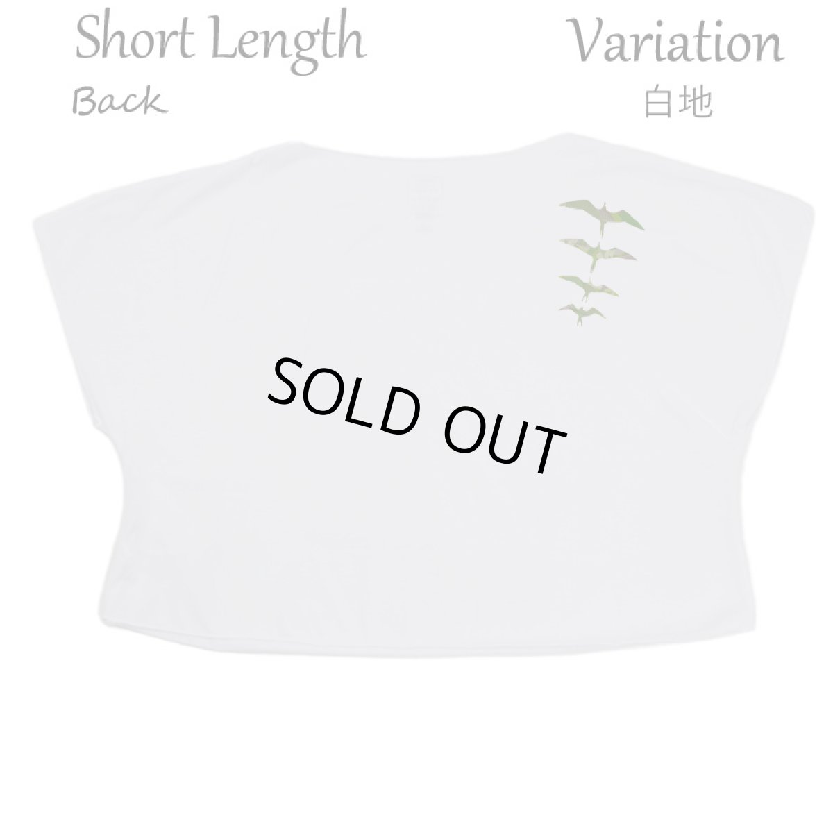 画像9: フラダンス レッスン ルースフィット ワイド Tシャツ イヴァ ミリタリー柄 (9)