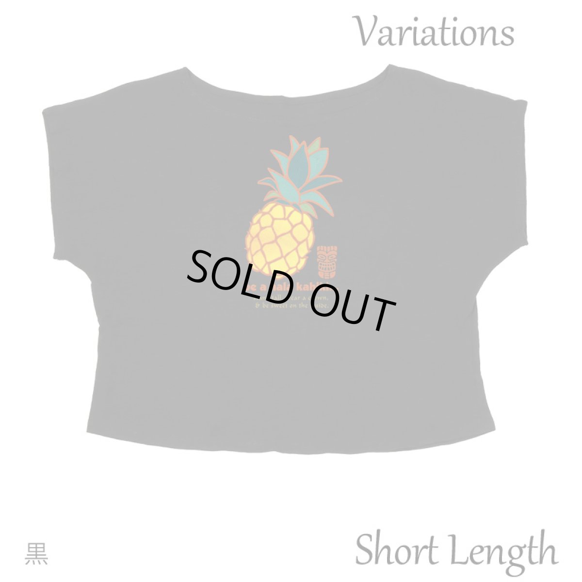 画像11: 2種類の着丈から選べる スラブ コットン Tシャツ ハラカヒキ 刺しゅう風プリント (11)