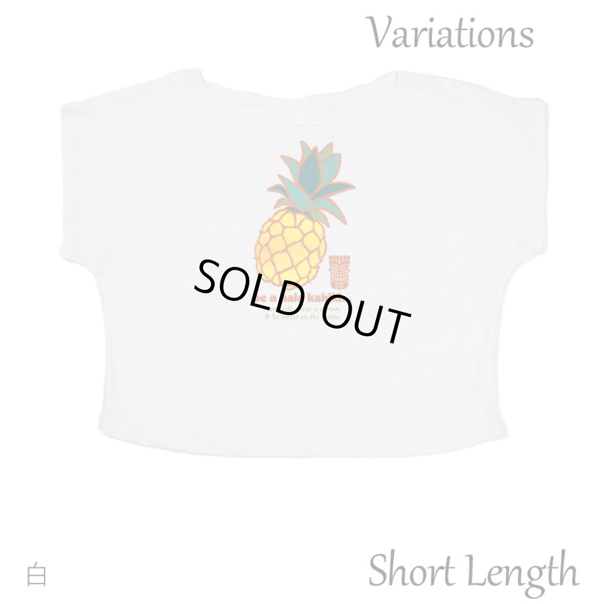 画像10: 2種類の着丈から選べる スラブ コットン Tシャツ ハラカヒキ 刺しゅう風プリント (10)