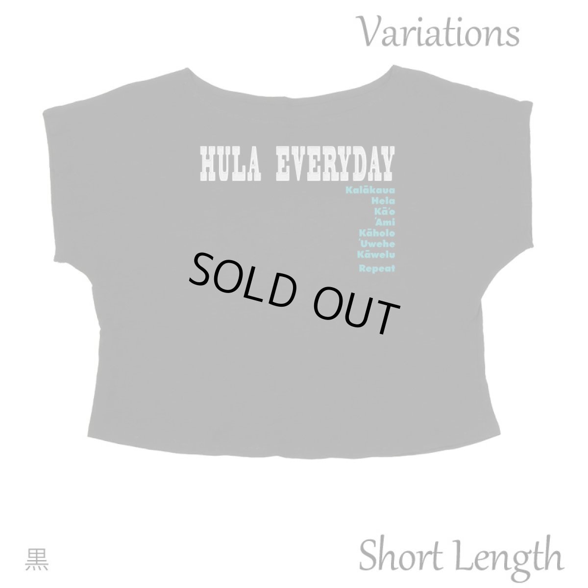 画像11: 2種類の着丈から選べる スラブ コットン Tシャツ フラエブリディ 刺しゅう風プリント (11)