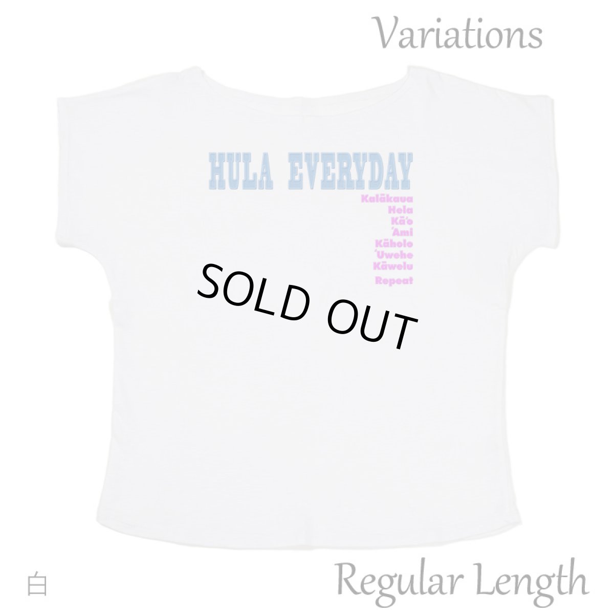 画像12: 2種類の着丈から選べる スラブ コットン Tシャツ フラエブリディ 刺しゅう風プリント (12)