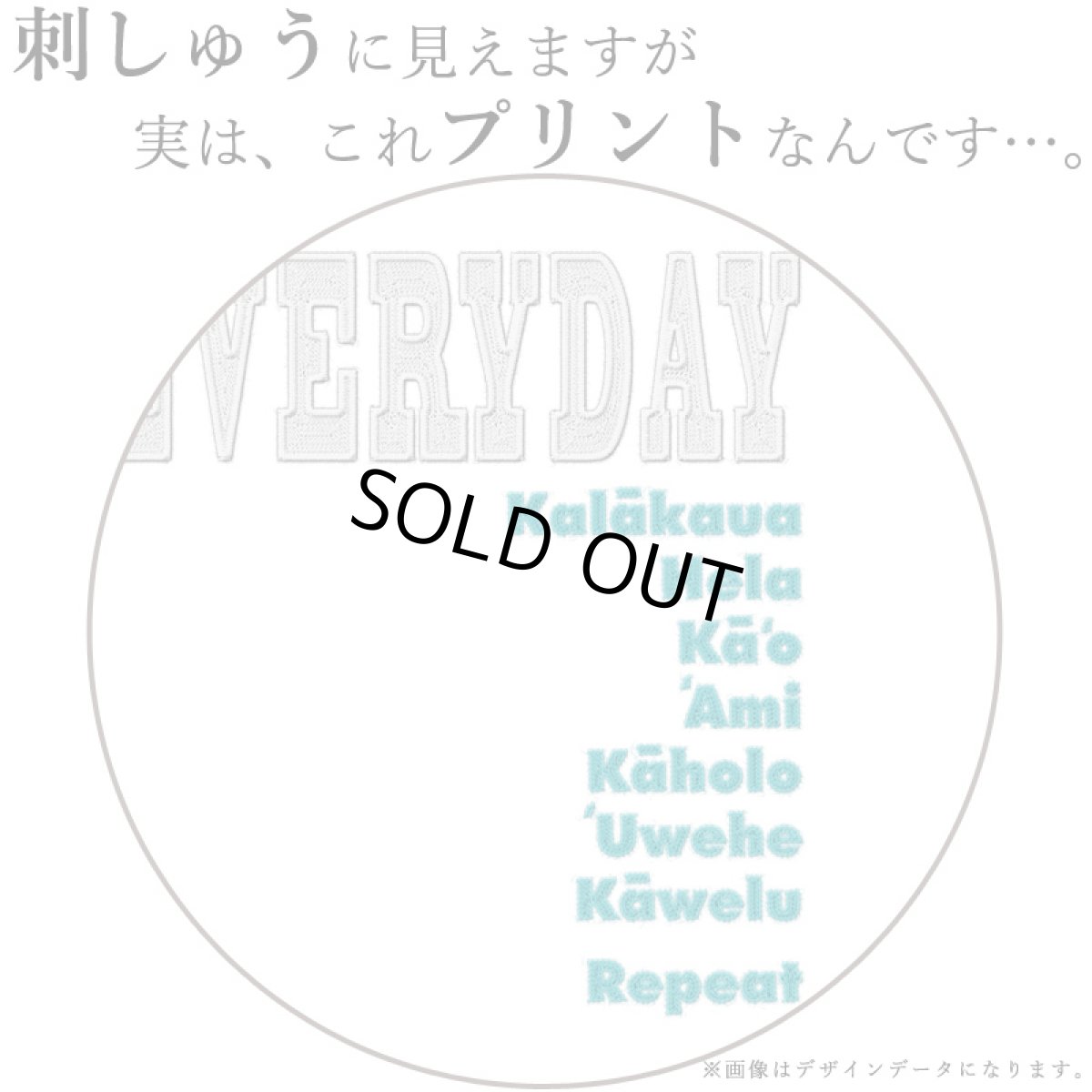 画像14: 2種類の着丈から選べる スラブ コットン Tシャツ フラエブリディ 刺しゅう風プリント (14)