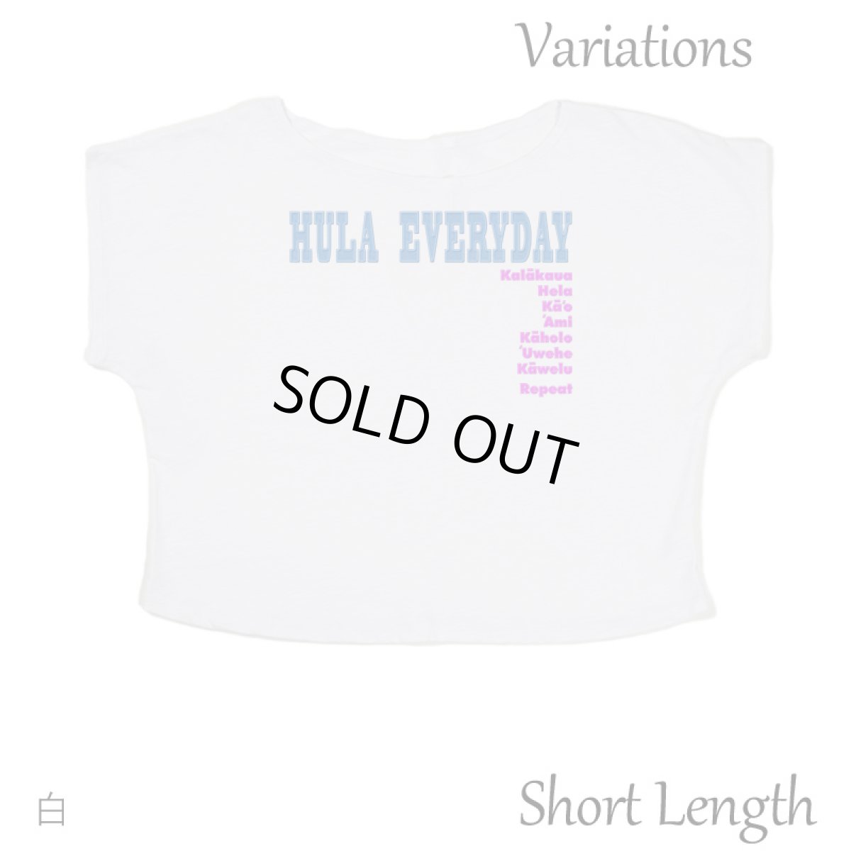 画像10: 2種類の着丈から選べる スラブ コットン Tシャツ フラエブリディ 刺しゅう風プリント (10)