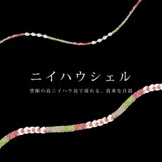 画像2: ニイハウシェルレイ柄  半袖 Tシャツ｜モダール レーヨン フレンチスリーブ スリムフィット ショートスリーブ (2)