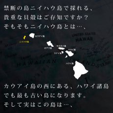 画像3: ニイハウシェルレイ柄  半袖 Tシャツ｜モダール レーヨン フレンチスリーブ スリムフィット ショートスリーブ (3)