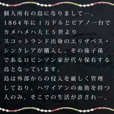 画像4: ニイハウシェルレイ柄  半袖 Tシャツ｜モダール レーヨン フレンチスリーブ スリムフィット ショートスリーブ (4)